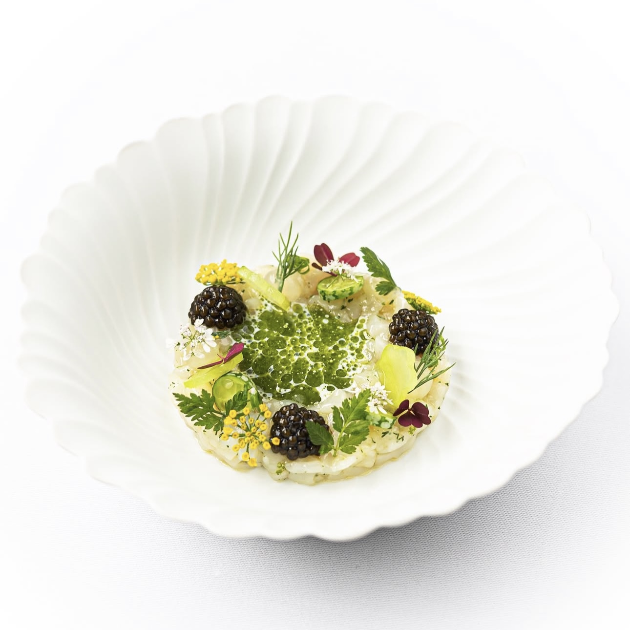 ISLE OF SKYE SCALLOP